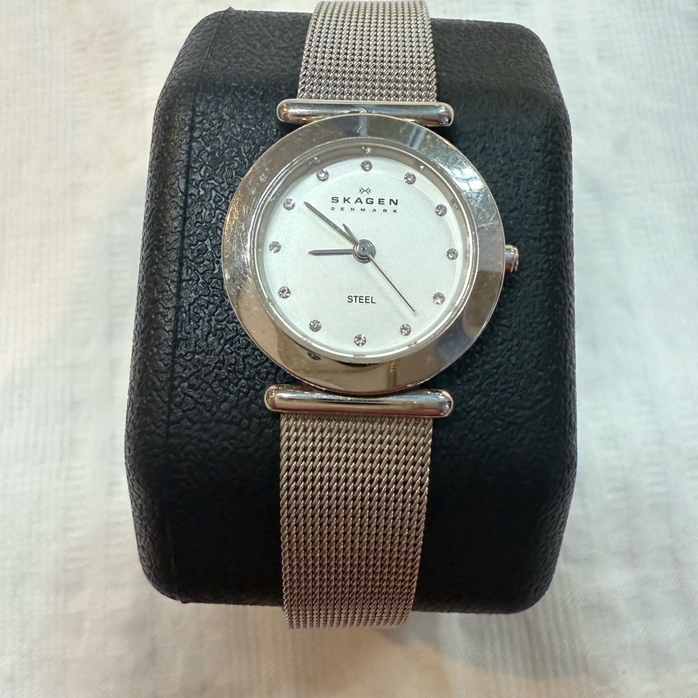 Skagen Steel Watch with Silver Mesh Band